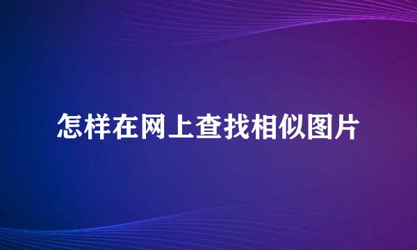 怎样在网上查找相似图片