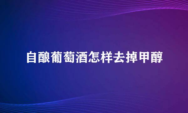 自酿葡萄酒怎样去掉甲醇
