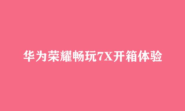 华为荣耀畅玩7X开箱体验