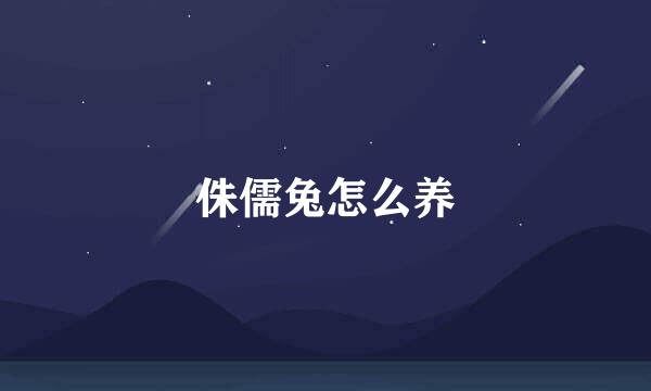 侏儒兔怎么养