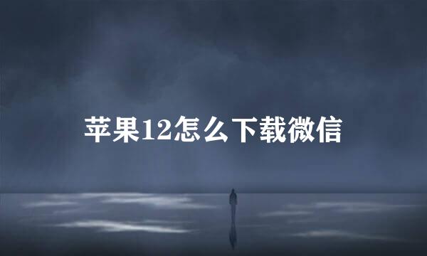苹果12怎么下载微信