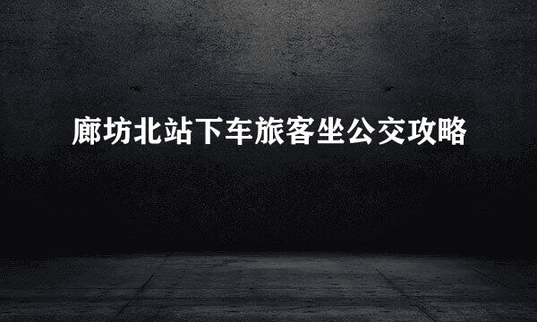 廊坊北站下车旅客坐公交攻略