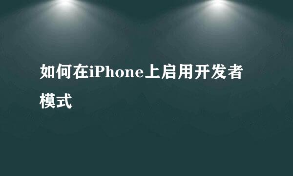 如何在iPhone上启用开发者模式