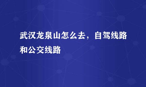 武汉龙泉山怎么去，自驾线路和公交线路