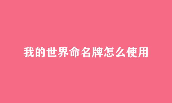 我的世界命名牌怎么使用