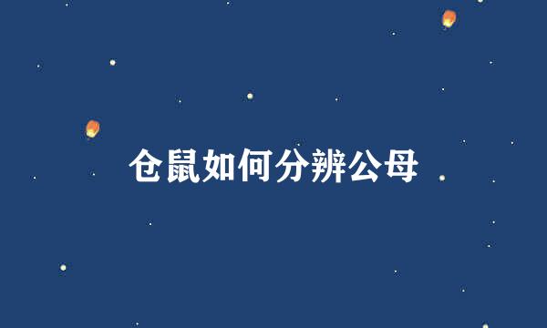 仓鼠如何分辨公母