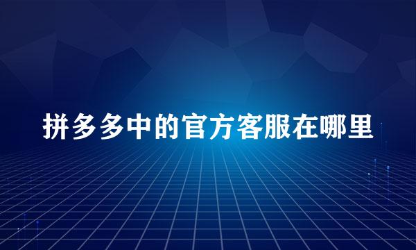 拼多多中的官方客服在哪里