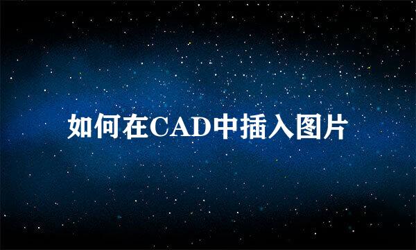 如何在CAD中插入图片
