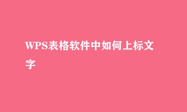 WPS表格软件中如何上标文字