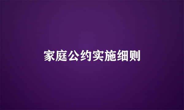 家庭公约实施细则
