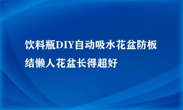 饮料瓶DIY自动吸水花盆防板结懒人花盆长得超好