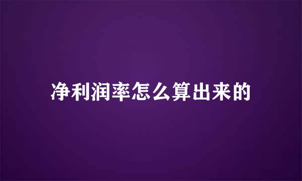 净利润率怎么算出来的