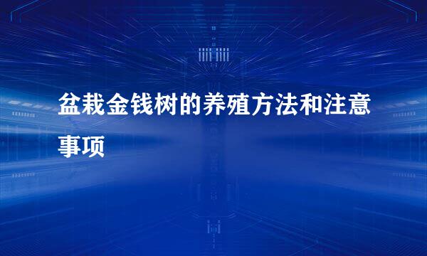 盆栽金钱树的养殖方法和注意事项