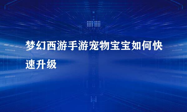 梦幻西游手游宠物宝宝如何快速升级