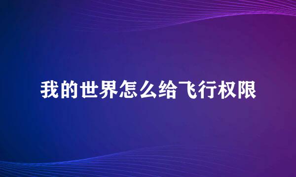 我的世界怎么给飞行权限