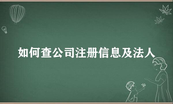 如何查公司注册信息及法人