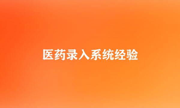 医药录入系统经验