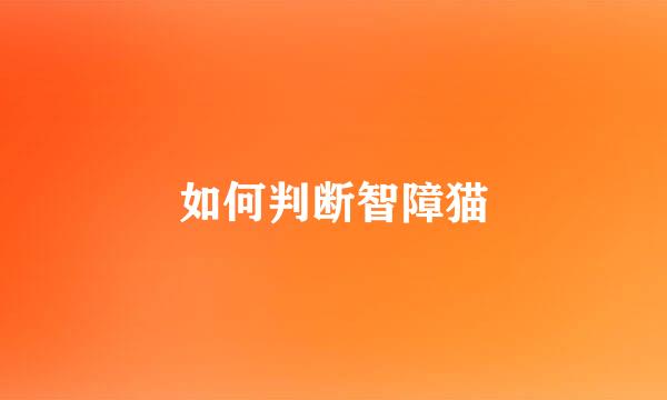 如何判断智障猫