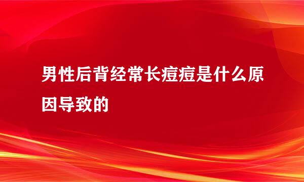 男性后背经常长痘痘是什么原因导致的