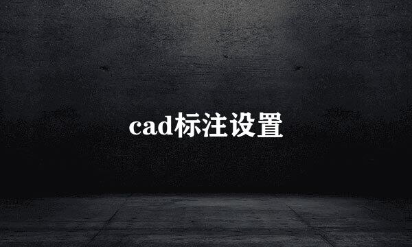 cad标注设置