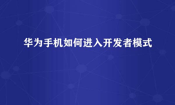华为手机如何进入开发者模式
