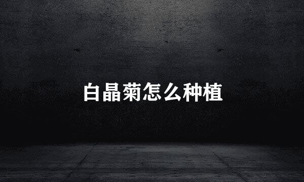 白晶菊怎么种植