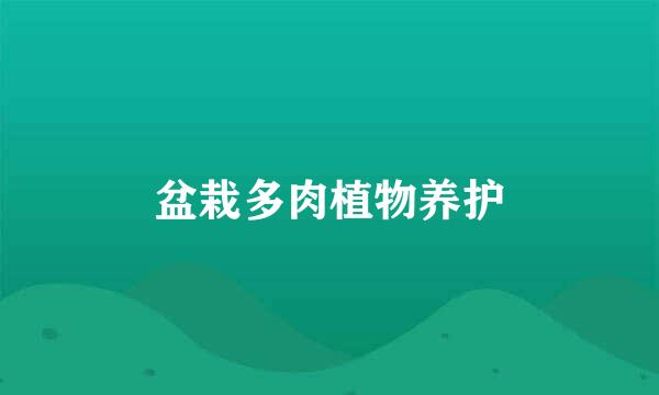 盆栽多肉植物养护