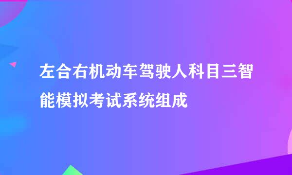 左合右机动车驾驶人科目三智能模拟考试系统组成