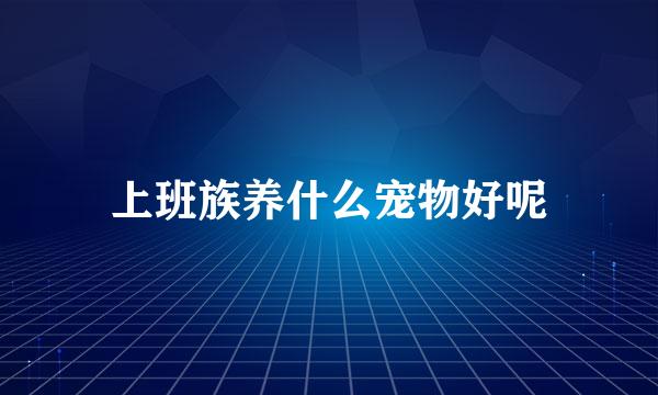 上班族养什么宠物好呢