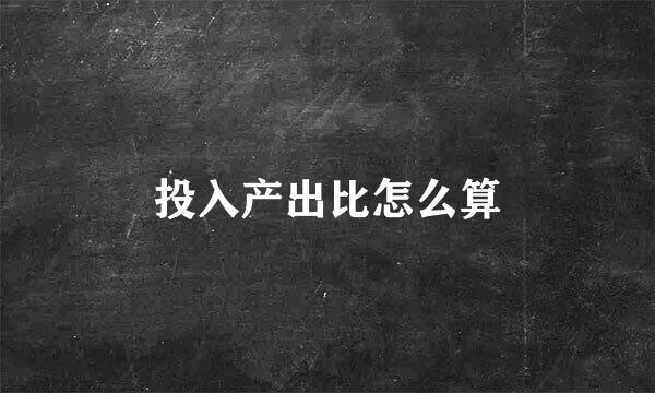 投入产出比怎么算