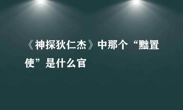 《神探狄仁杰》中那个“黜置使”是什么官
