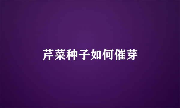 芹菜种子如何催芽