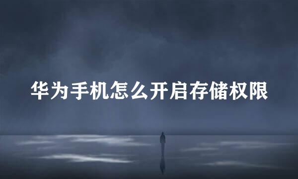 华为手机怎么开启存储权限