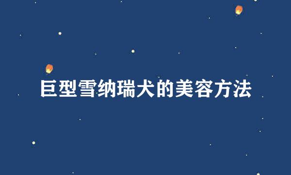 巨型雪纳瑞犬的美容方法