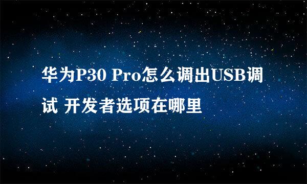 华为P30 Pro怎么调出USB调试 开发者选项在哪里