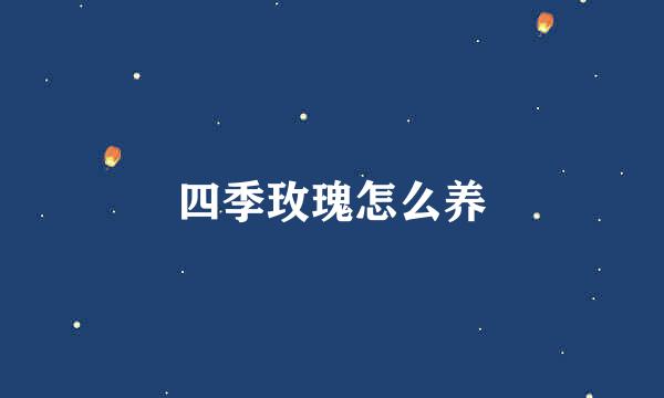 四季玫瑰怎么养