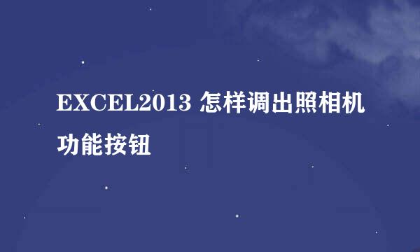 EXCEL2013 怎样调出照相机功能按钮