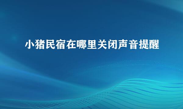 小猪民宿在哪里关闭声音提醒