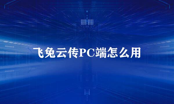 飞兔云传PC端怎么用