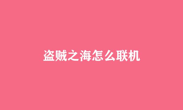 盗贼之海怎么联机