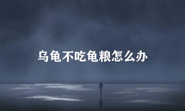 乌龟不吃龟粮怎么办