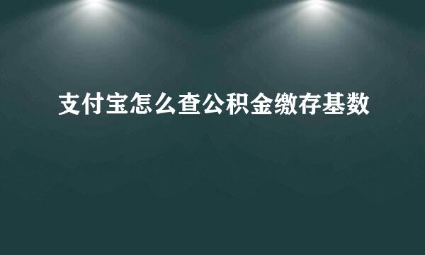支付宝怎么查公积金缴存基数