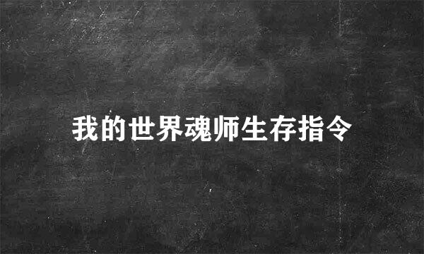 我的世界魂师生存指令