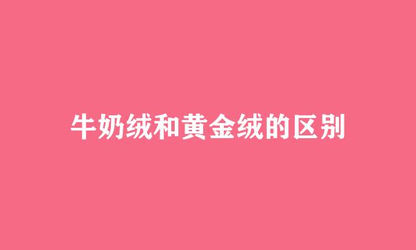 牛奶绒和黄金绒的区别