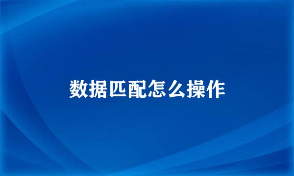 数据匹配怎么操作