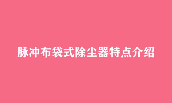 脉冲布袋式除尘器特点介绍