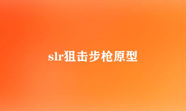 slr狙击步枪原型