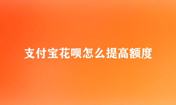 支付宝花呗怎么提高额度