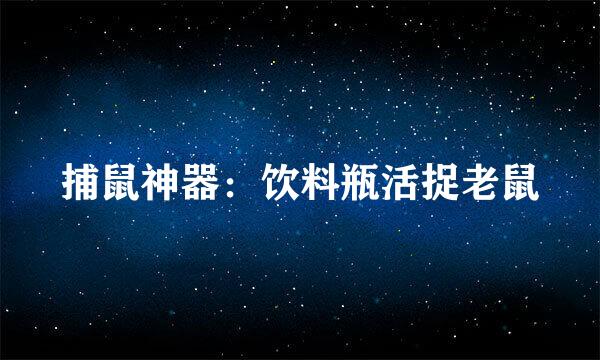 捕鼠神器：饮料瓶活捉老鼠