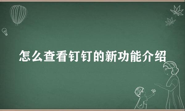 怎么查看钉钉的新功能介绍